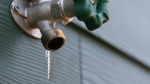 Best Affordable Plumbing Services  in Fruitville, FL