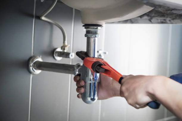 Best Plumbing Inspection Services  in Fruitville, FL